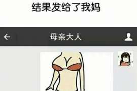 洛南服务项目